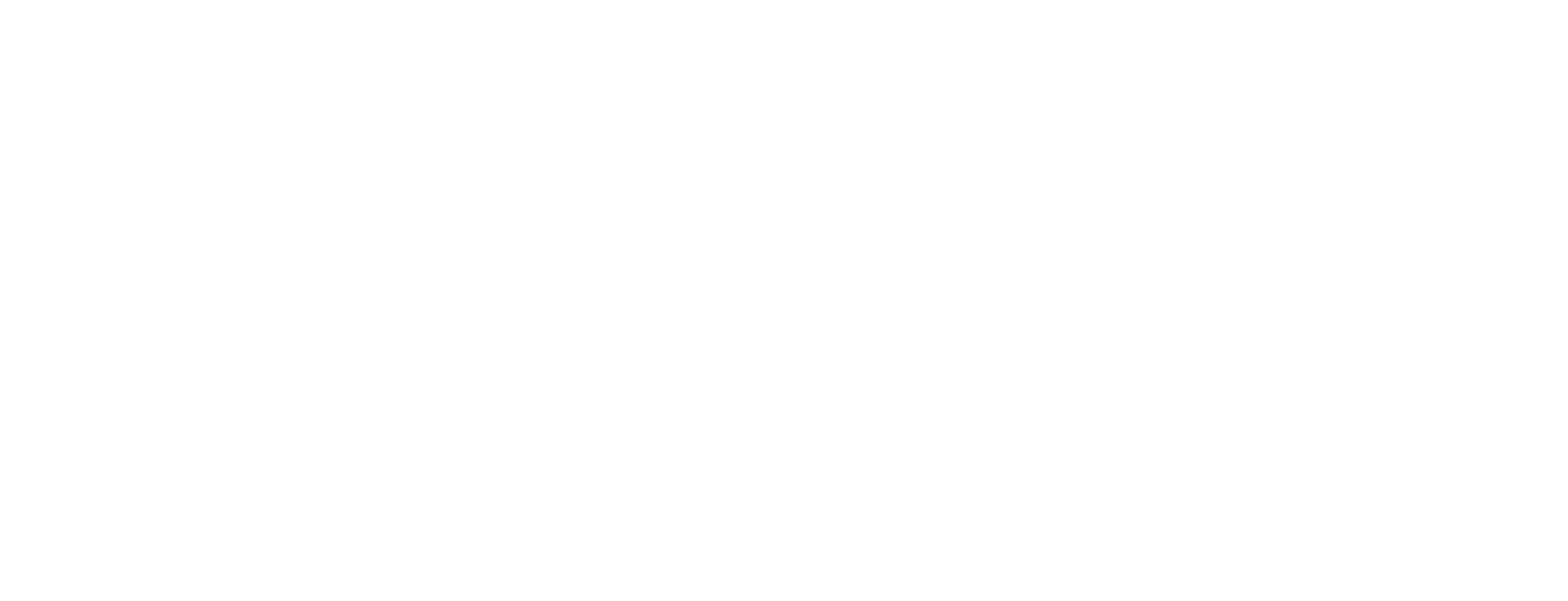 Asia Social Innovation Award