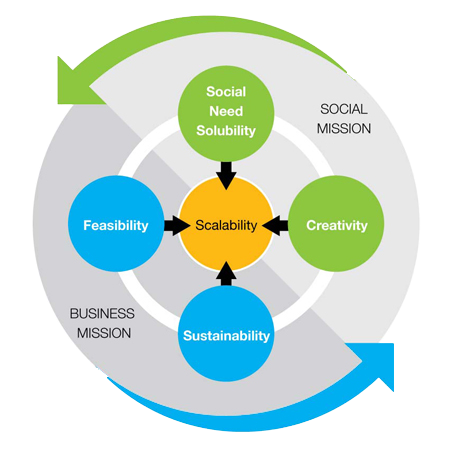 Asia Social Innovation Award Judging Criteria